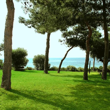 Trikorfo Beach Gerakini Exterior foto
