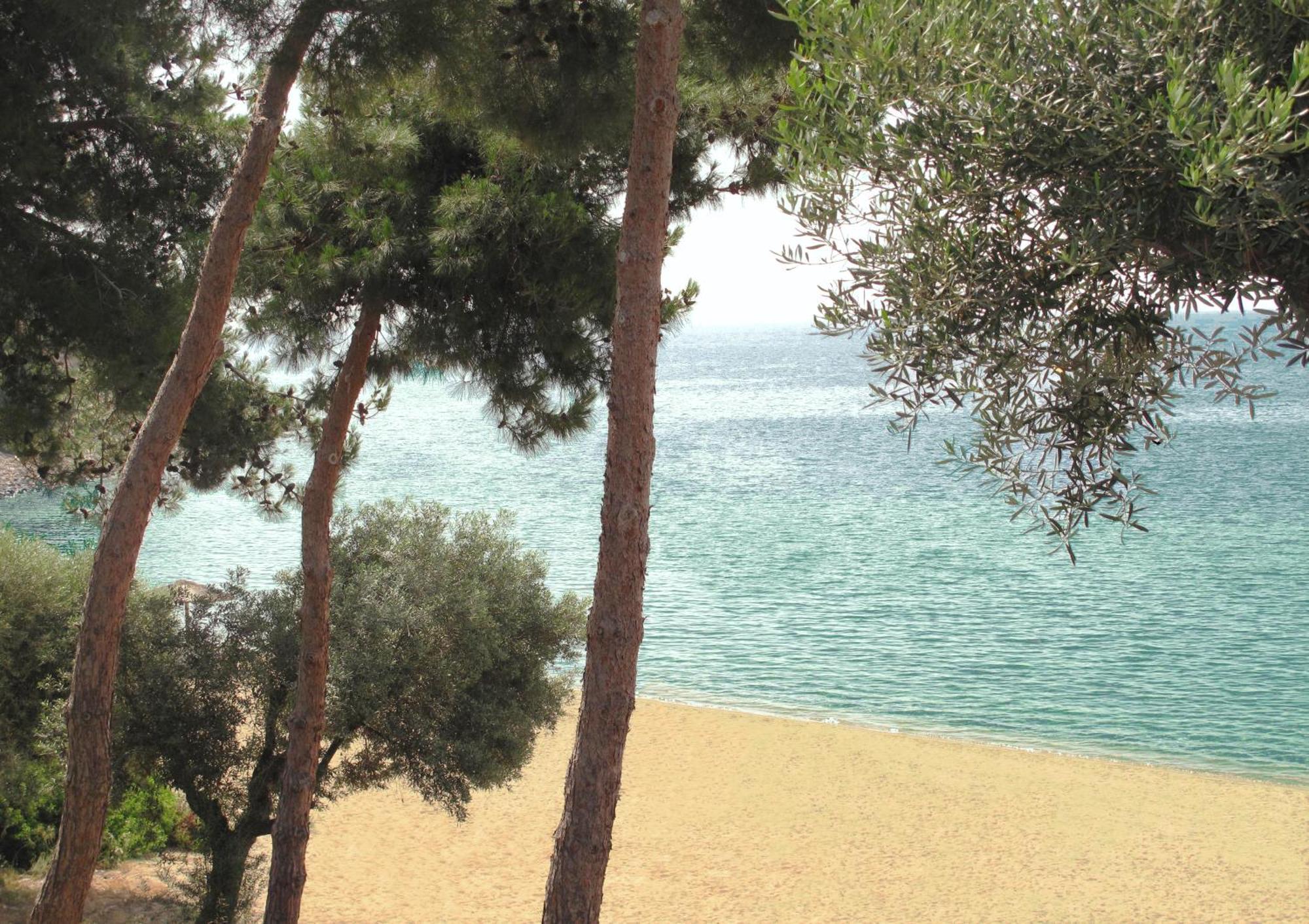 Trikorfo Beach Gerakini Exterior foto