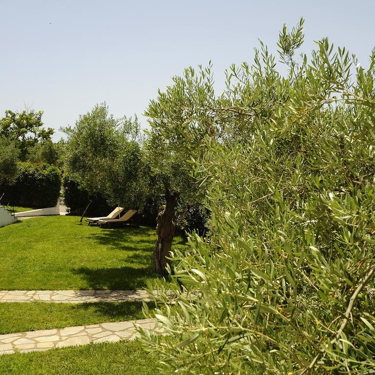 Trikorfo Beach Gerakini Exterior foto