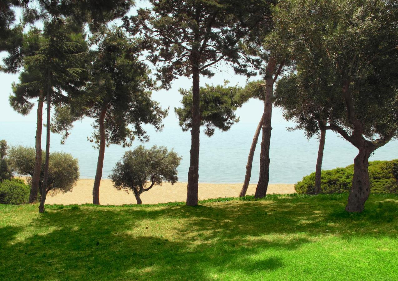 Trikorfo Beach Gerakini Exterior foto